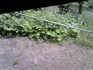 長野県菅平高原 ゆたか山荘 駐車場 2026/06/14 10:45