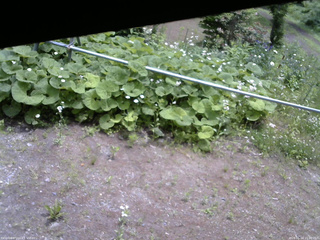 長野県菅平高原 ゆたか山荘 駐車場 2026/06/14 11:00
