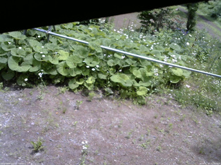長野県菅平高原 ゆたか山荘 駐車場 2026/06/14 11:15