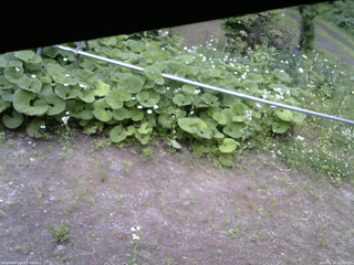 長野県菅平高原 ゆたか山荘 駐車場 2026/06/14 12:30