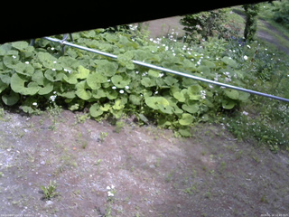 長野県菅平高原 ゆたか山荘 駐車場 2026/06/14 12:45