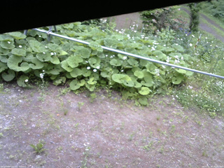 長野県菅平高原 ゆたか山荘 駐車場 2026/06/14 16:45