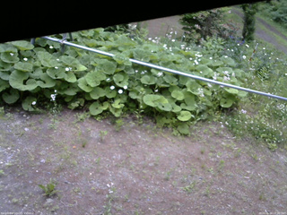 長野県菅平高原 ゆたか山荘 駐車場 2026/06/14 17:30