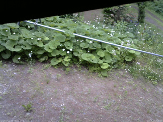 長野県菅平高原 ゆたか山荘 駐車場 2026/06/14 17:45