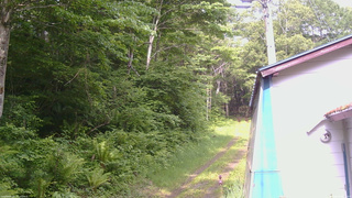 長野県菅平高原 ゆたか山荘 ゆたか山荘 2026/06/14 08:15