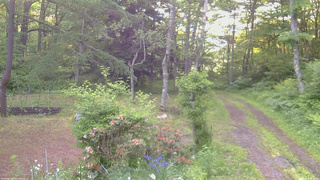 長野県菅平高原 ゆたか山荘 坂上 2026/06/14 05:15