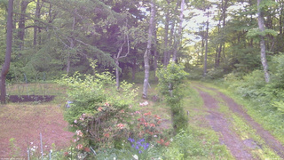 長野県菅平高原 ゆたか山荘 坂上 2026/06/14 05:45