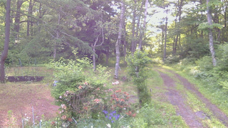 長野県菅平高原 ゆたか山荘 坂上 2026/06/14 06:00