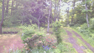 長野県菅平高原 ゆたか山荘 坂上 2026/06/14 06:15