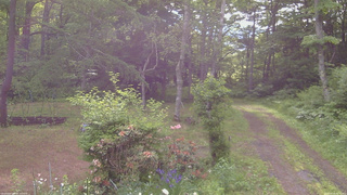 長野県菅平高原 ゆたか山荘 坂上 2026/06/14 07:30