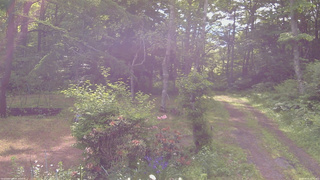 長野県菅平高原 ゆたか山荘 坂上 2026/06/14 07:45