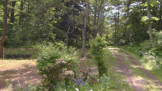 長野県菅平高原 ゆたか山荘 坂上 2026/06/14 08:30