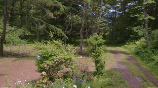 長野県菅平高原 ゆたか山荘 坂上 2026/06/14 12:45