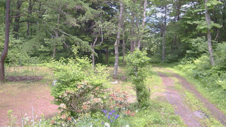 長野県菅平高原 ゆたか山荘 坂上 2026/06/14 13:00