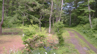 長野県菅平高原 ゆたか山荘 坂上 2026/06/14 14:00