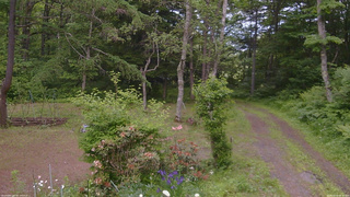 長野県菅平高原 ゆたか山荘 坂上 2026/06/14 14:30