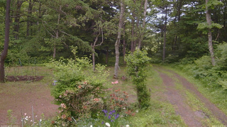 長野県菅平高原 ゆたか山荘 坂上 2026/06/14 15:00