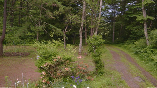 長野県菅平高原 ゆたか山荘 坂上 2026/06/14 16:00