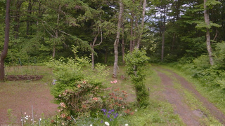 長野県菅平高原 ゆたか山荘 坂上 2026/06/14 16:15