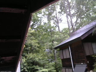 長野県菅平高原 ゆたか山荘 北側 2026/06/15 09:45