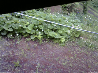 長野県菅平高原 ゆたか山荘 駐車場 2026/06/15 05:15