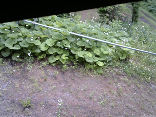 長野県菅平高原 ゆたか山荘 駐車場 2026/06/15 08:45