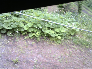 長野県菅平高原 ゆたか山荘 駐車場 2026/06/15 09:15