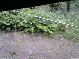 長野県菅平高原 ゆたか山荘 駐車場 2026/06/15 10:00