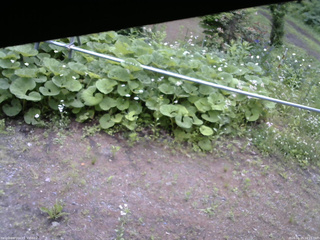 長野県菅平高原 ゆたか山荘 駐車場 2026/06/15 10:15