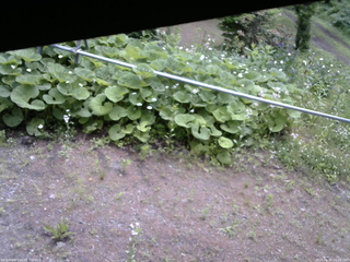 長野県菅平高原 ゆたか山荘 駐車場 2026/06/15 10:30