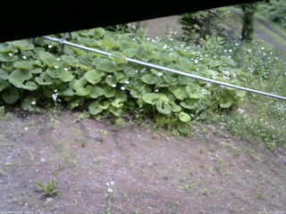 長野県菅平高原 ゆたか山荘 駐車場 2026/06/15 11:30