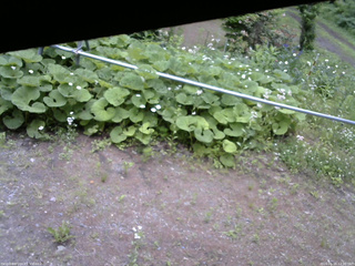 長野県菅平高原 ゆたか山荘 駐車場 2026/06/15 12:30
