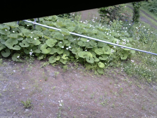 長野県菅平高原 ゆたか山荘 駐車場 2026/06/15 12:45