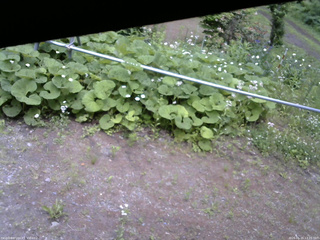 長野県菅平高原 ゆたか山荘 駐車場 2026/06/15 13:15