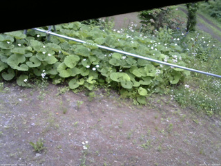 長野県菅平高原 ゆたか山荘 駐車場 2026/06/15 14:00