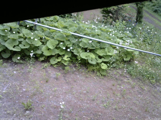 長野県菅平高原 ゆたか山荘 駐車場 2026/06/15 14:15