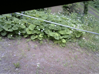 長野県菅平高原 ゆたか山荘 駐車場 2026/06/15 14:30
