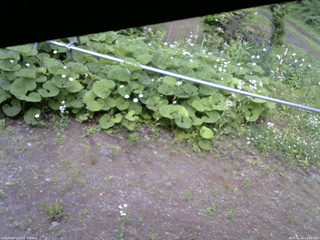 長野県菅平高原 ゆたか山荘 駐車場 2026/06/15 14:45