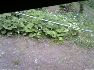 長野県菅平高原 ゆたか山荘 駐車場 2026/06/15 15:00