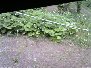 長野県菅平高原 ゆたか山荘 駐車場 2026/06/15 15:15