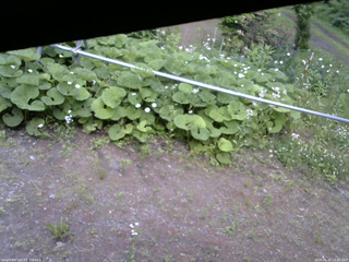 長野県菅平高原 ゆたか山荘 駐車場 2026/06/15 15:45