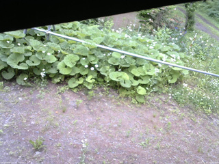 長野県菅平高原 ゆたか山荘 駐車場 2026/06/15 16:00