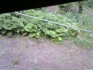 長野県菅平高原 ゆたか山荘 駐車場 2026/06/15 16:30