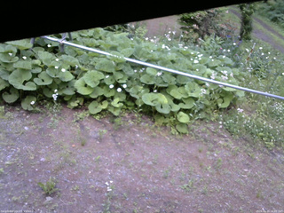 長野県菅平高原 ゆたか山荘 駐車場 2026/06/15 16:45
