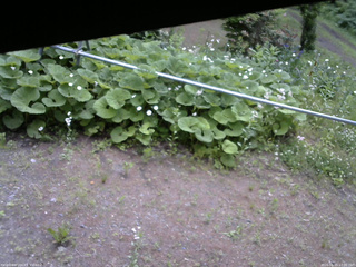 長野県菅平高原 ゆたか山荘 駐車場 2026/06/15 17:00