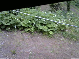 長野県菅平高原 ゆたか山荘 駐車場 2026/06/15 17:15