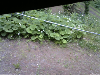 長野県菅平高原 ゆたか山荘 駐車場 2026/06/15 17:30
