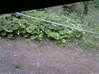 長野県菅平高原 ゆたか山荘 駐車場 2026/06/15 17:45