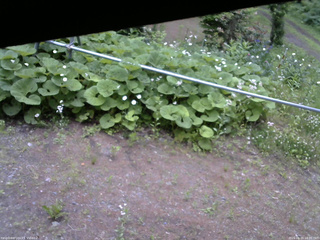 長野県菅平高原 ゆたか山荘 駐車場 2026/06/15 18:00