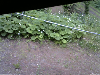 長野県菅平高原 ゆたか山荘 駐車場 2026/06/15 18:15